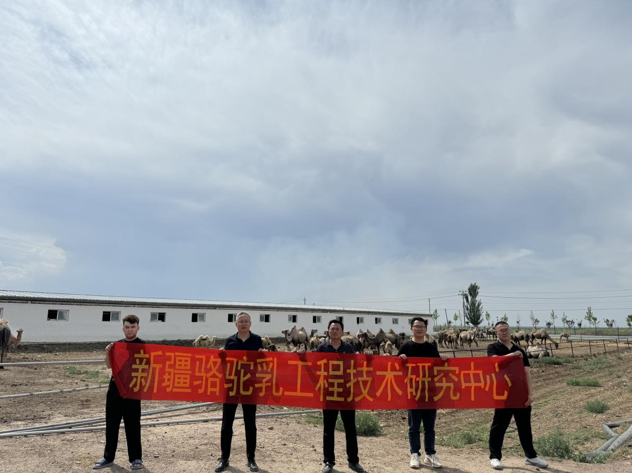 图片 4.png