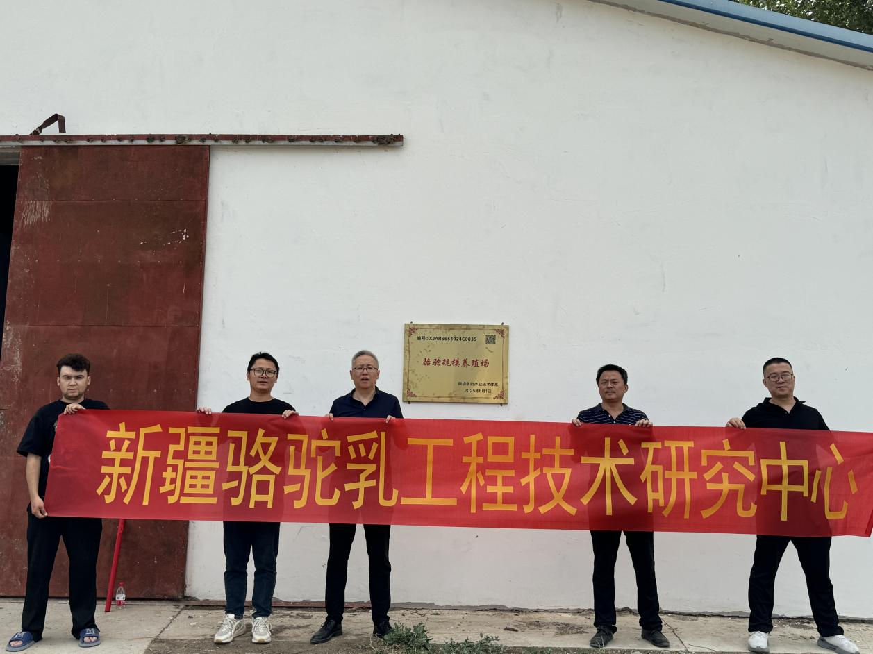 图片 1.png