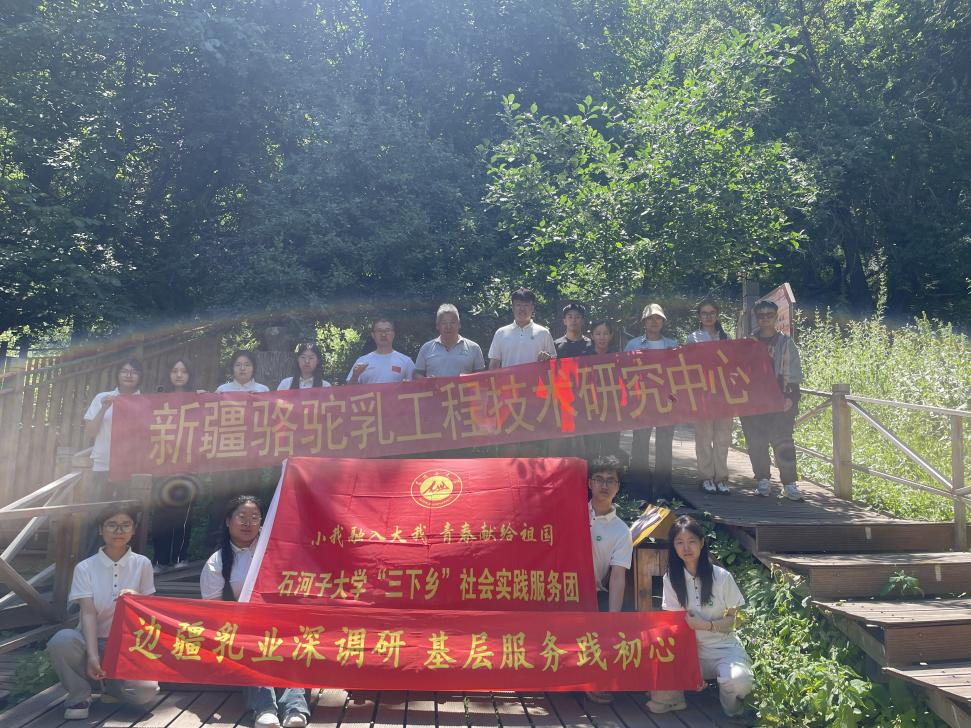 图片 5.png
