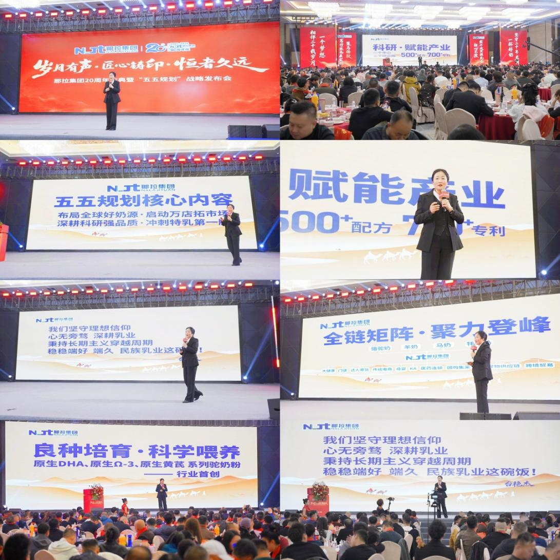 图片 12.png