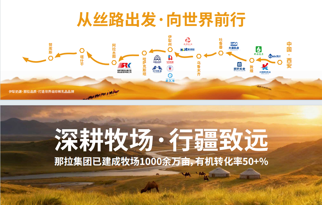 图片 3.png