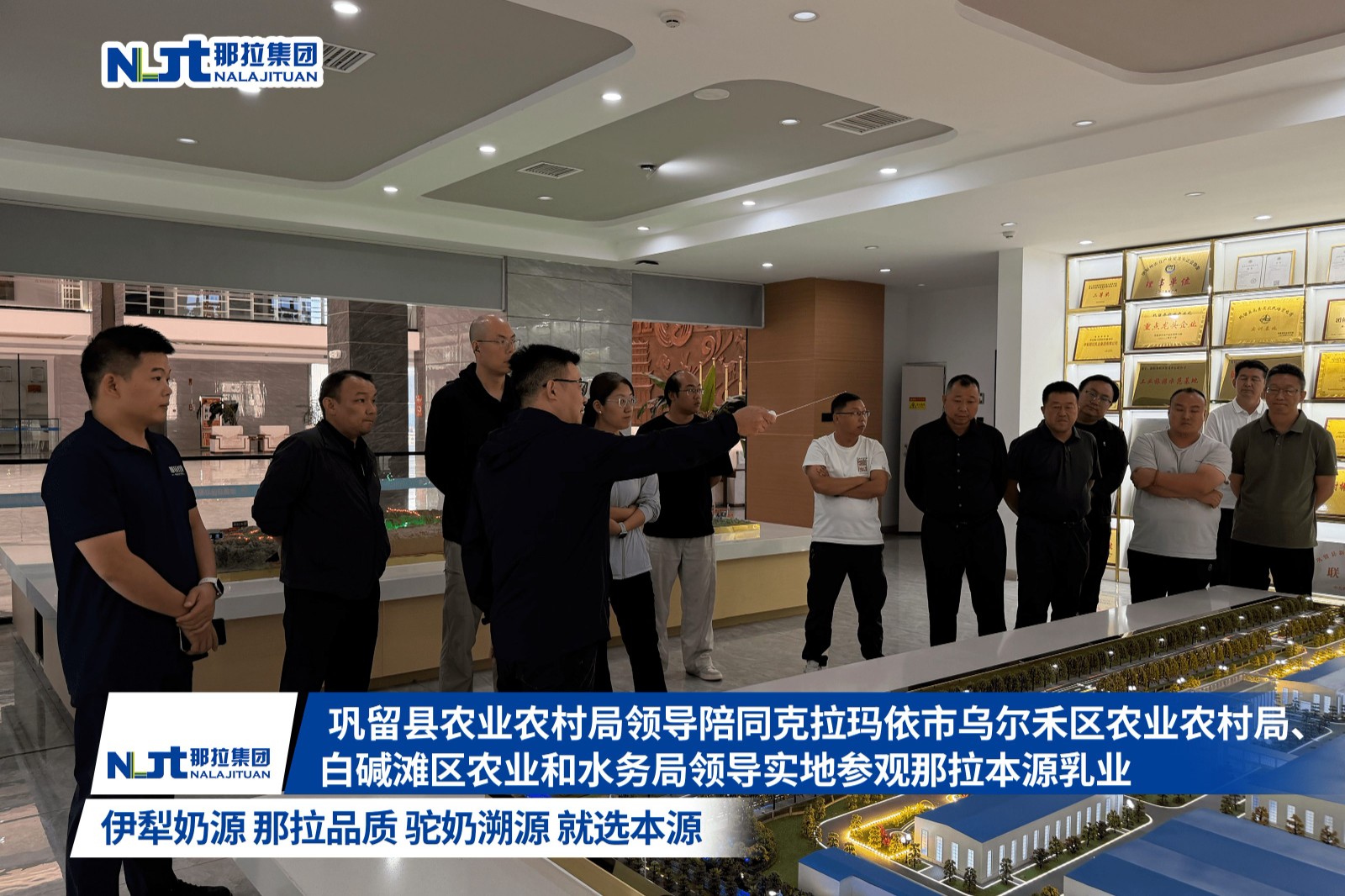 图片 8.jpg